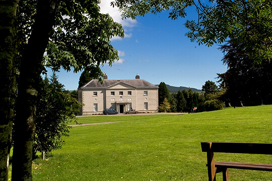 Group enjoying treetop walk in the sun