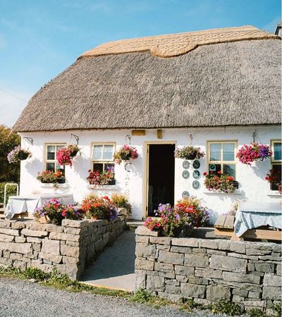 Thatched roof cottage 