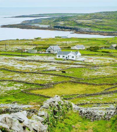 Aerial view of island and ocean