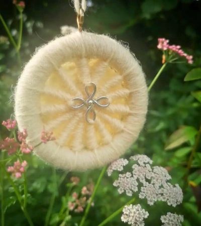 Dorset button in a meadow with flowers