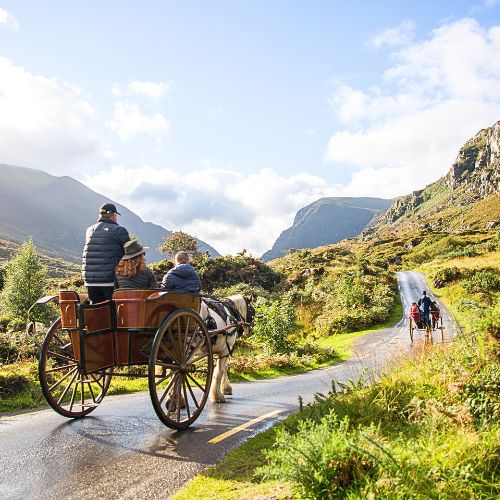 Horse and carriage on narrow road