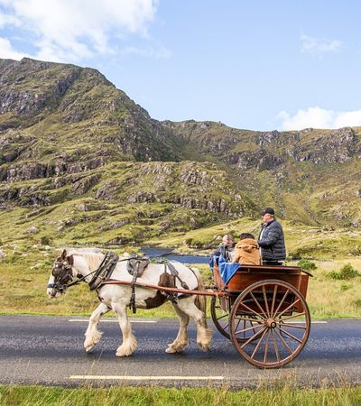 Killarney horse and carriage