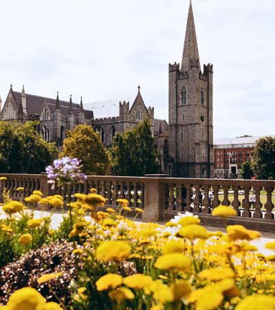 Cathedral and flowers in the foreground